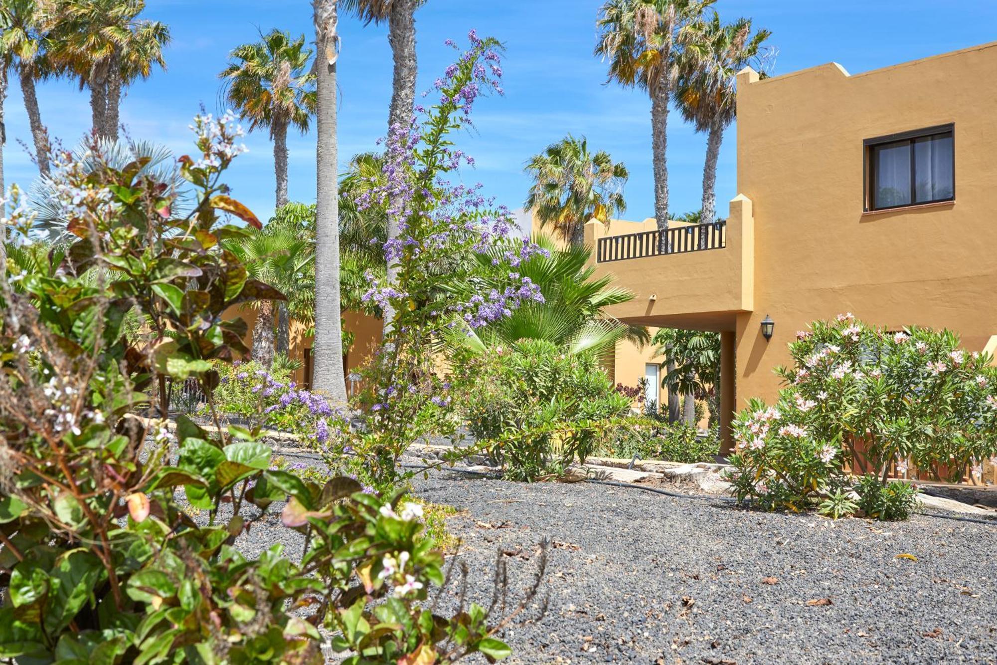 Apartamento Samira Fuerteventura Corralejo Eksteriør bilde